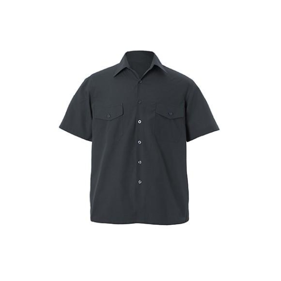 CAMISA CATA FDI M/C COLOR
